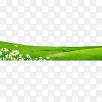 草地
