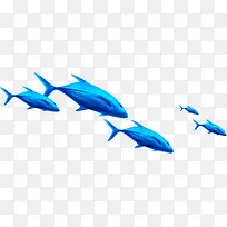 向右游动的蓝色大鱼