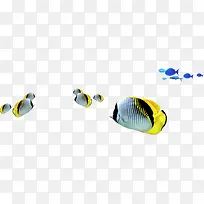 夏日海报摄影鱼群效果设计