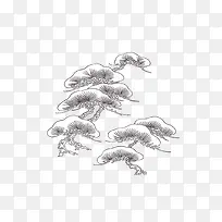 线描松花