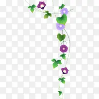 紫色唯美春天花藤植物