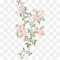 清新花卉素材图片