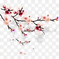 梅花毛笔艺术手绘