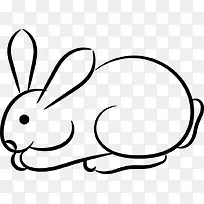 艺术手绘兔子