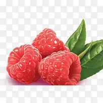 树莓素材