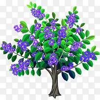 花树