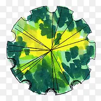 绿色梦幻角度水彩树叶造型