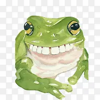 青蛙龇牙素材图片