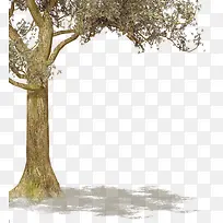 茂盛的大树手绘海报背景