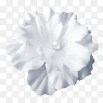 白色珍珠装饰花纯洁