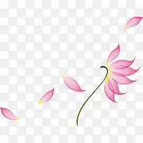 装饰花纹