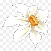 水仙花