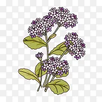 婚礼 角花
