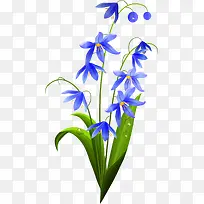 蓝色淡雅果实植物