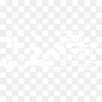 数据分析图