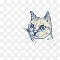 手绘猫咪头
