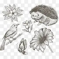 矢量手绘素描动物和植物