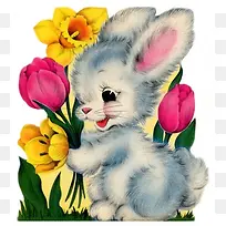 兔与花