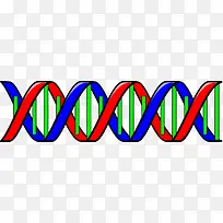 DNA几何图