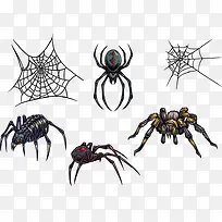 蜘蛛和蜘蛛网设计矢量图