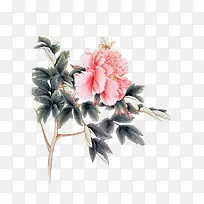 创意手绘图案立绘复古花卉