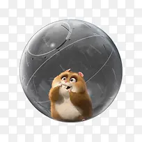 圆球里的鼠