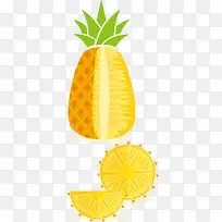 矢量菠萝