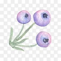 清新森系水彩紫色水果