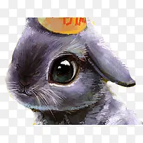色彩小兔