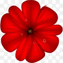 红色花蕊素材