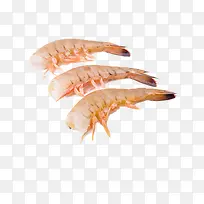 基围虾虾尾实物图