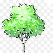 手绘绿色树木插画主页