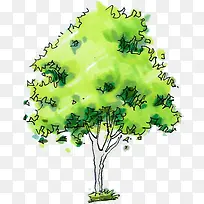 手绘绿色树木插画