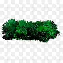 绿色唯美树木设计