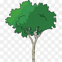 手绘扁平绿色的树木元素