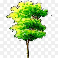 绿色树木贺卡设计图片