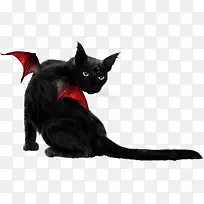 红色翅膀的黑猫
