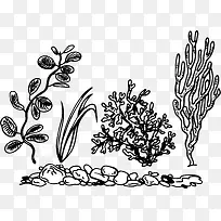 手绘 海底生物