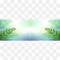 海底水草清新梦幻背景banner