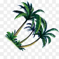 卡通效果植物树木椰子树