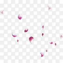 粉红花瓣