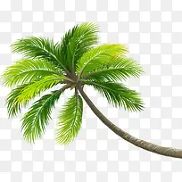 绿色热带卡通椰树创意
