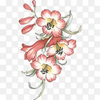 手绘牵牛花圣诞卡片