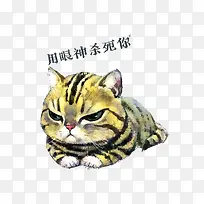 愤怒猫咪