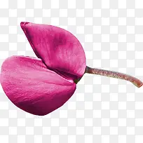 花卉