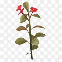 花枝花草枝叶