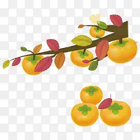 秋季果实柿子