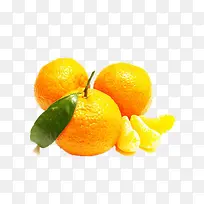 秋季成熟的橘子