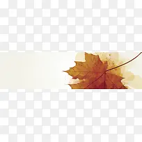 秋季枫叶banner背景
