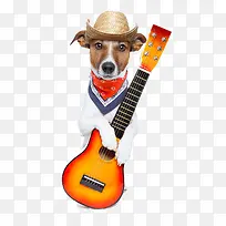 抱着吉他的狗狗